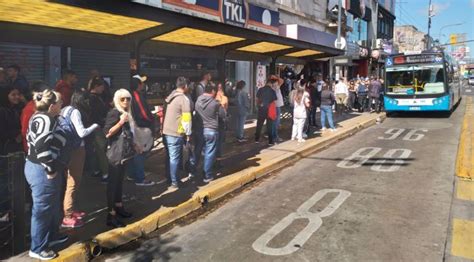 Paro de colectivos hoy 5 de julio: qué líneas no funcionan y .